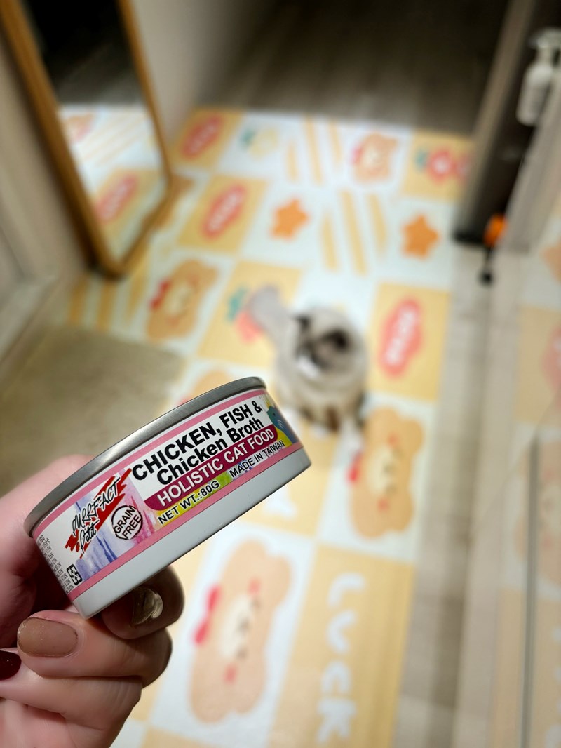 女人知己試用大隊,口碑行銷,部落客行銷,PURRFACT 波菲特貓用主食罐,主食罐,PURRFACT波菲特,貓主食罐,貓罐,PURRFACT波菲特貓用主食罐,魚肉蔓越莓主食罐,鮮嫩雞主食罐,鹿肉雞肉主食罐,牛肉鵪鶉貓主食罐,干貝蠶蛹配方,鱷魚肉白木耳配方,雞肉魚肉配方,安心鶉配方,評價,體驗,適口性佳,心得,成貓適用,高齡貓適用,質地是慕絲狀